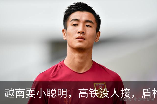 越南耍小聪明，高铁没人接，盾构机买不着，次次搬石头砸自己脚