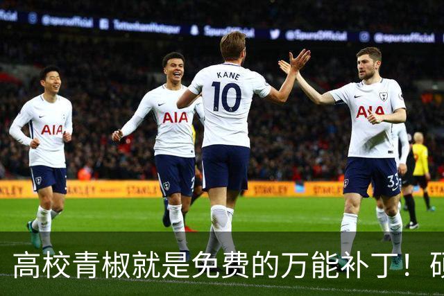 高校青椒就是免费的万能补丁！硕士点申报、师范认证、科研秘书......一样都没有落下，结果等到奖励的时候，什么都没有！！